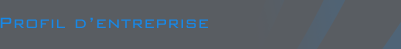 Profil d'entreprise